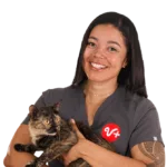Vet holding cat