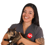 Vet holding cat