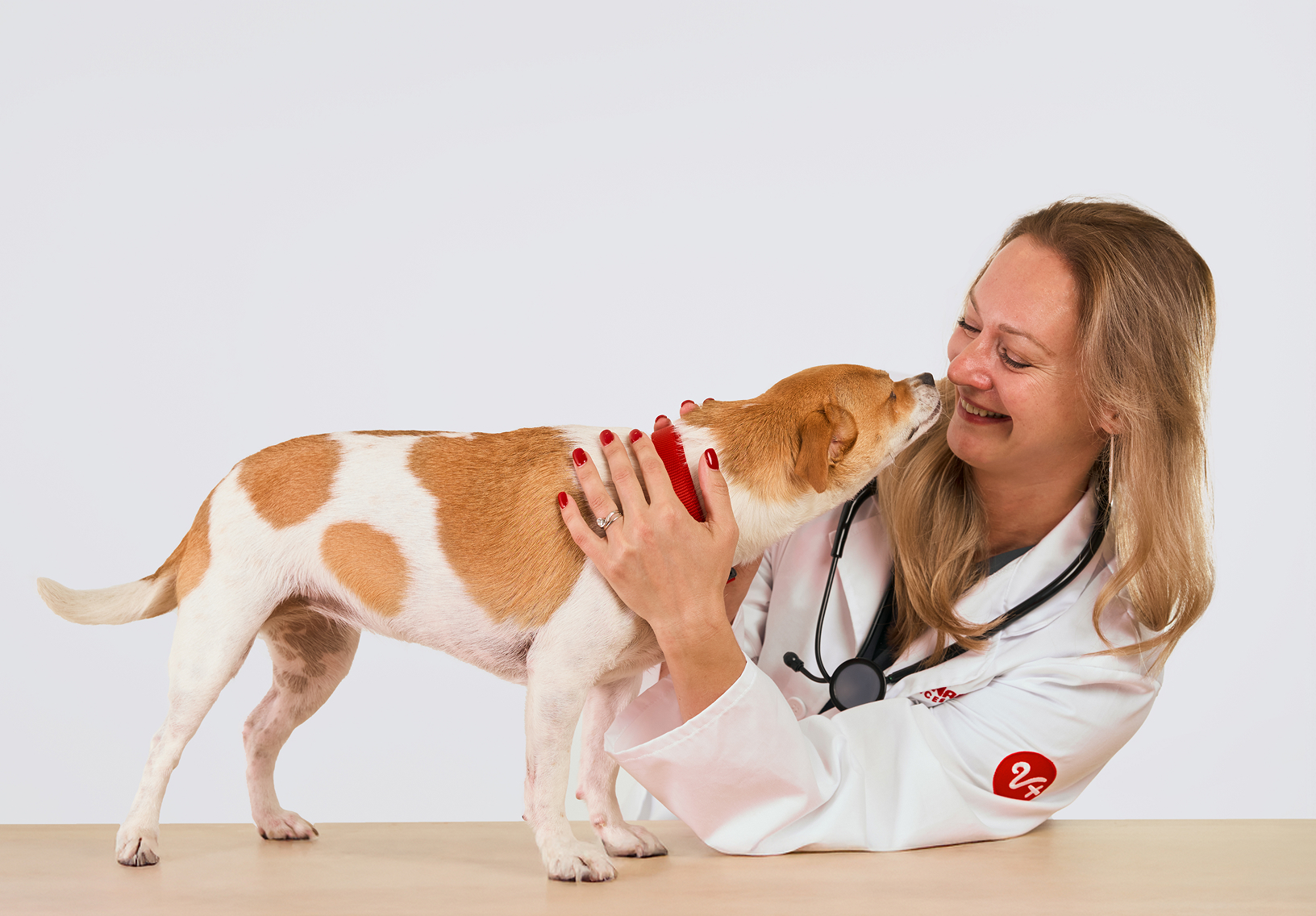 A veterinarian pets a dog on a table.