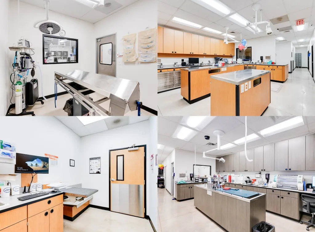 Hospital interior and exam rooms.