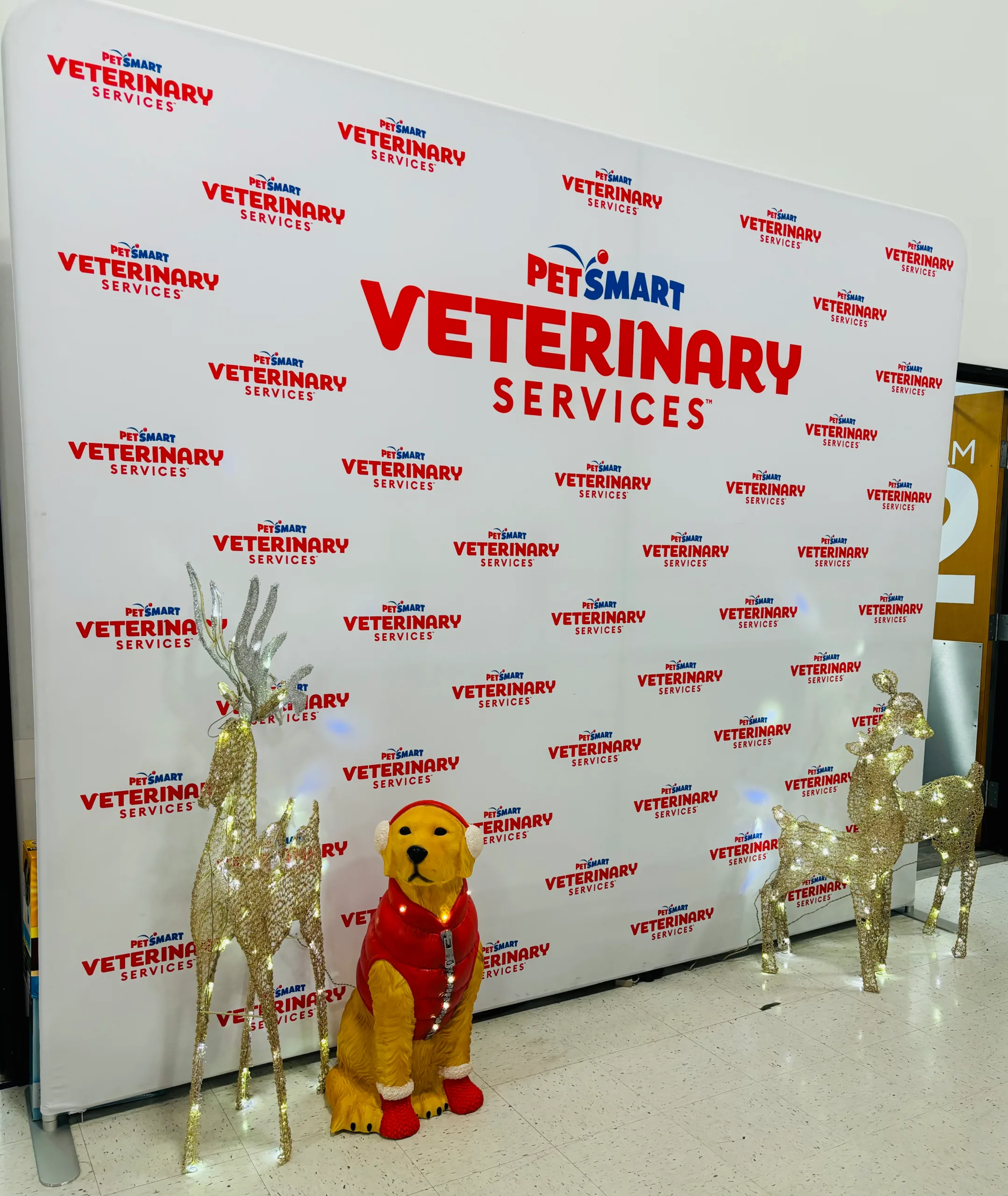 PVS logo banner