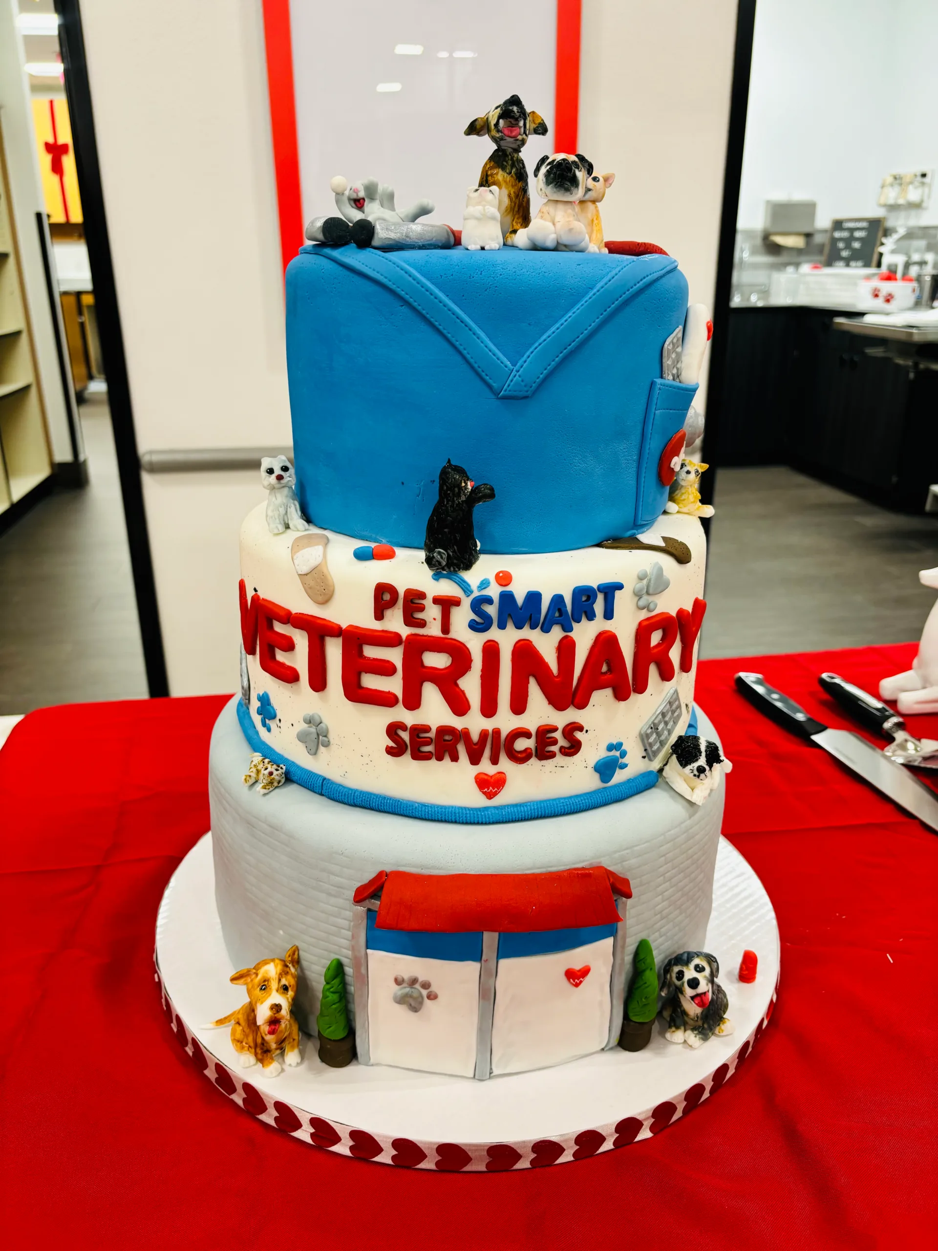 PVS Cake
