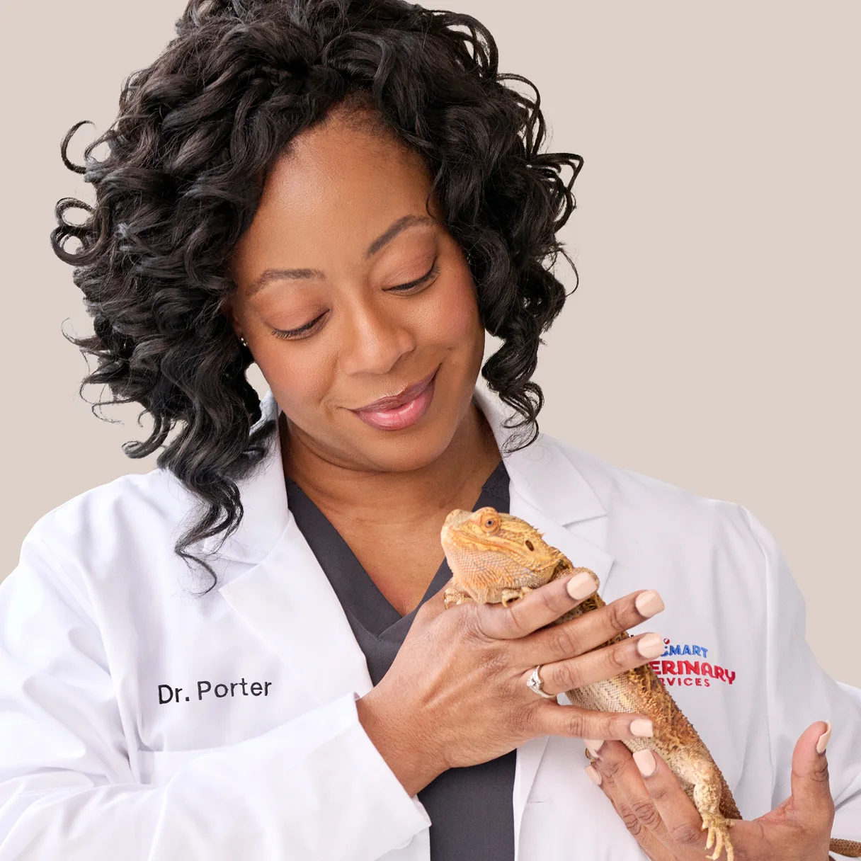 Vet holding a lizard