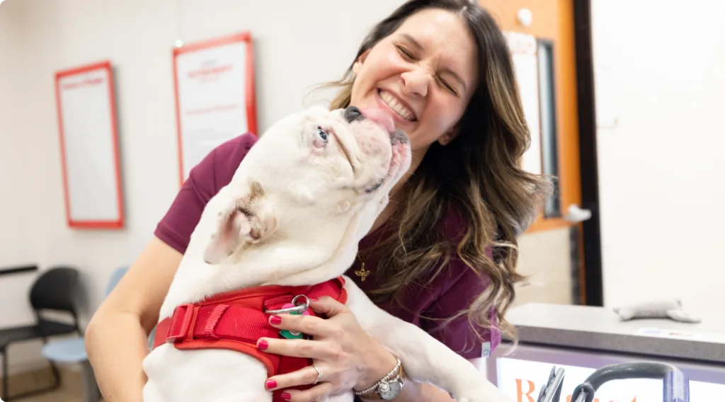 Dog licking Vet on face