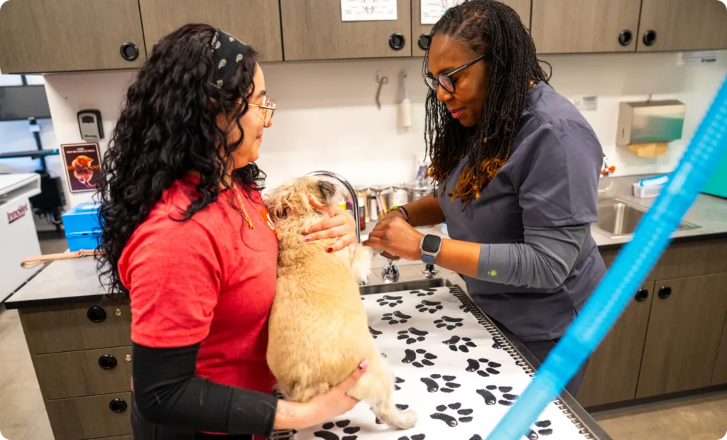 Vets with small dog