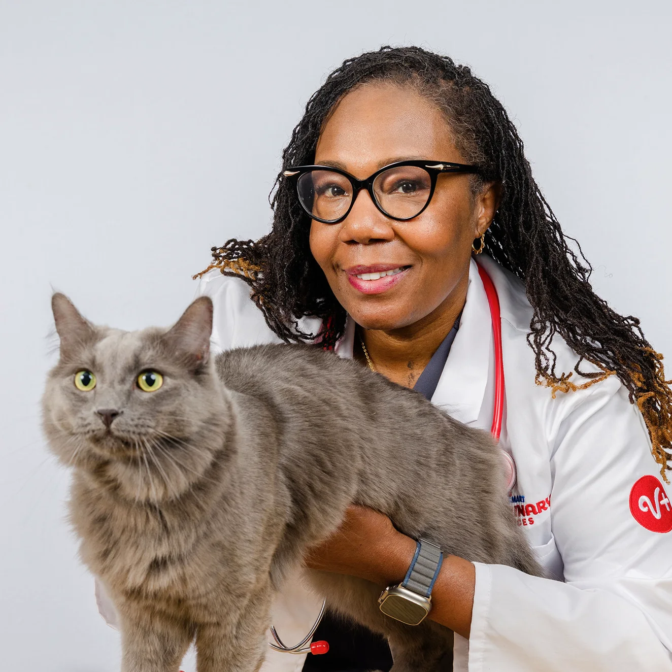 Vet with gray cat