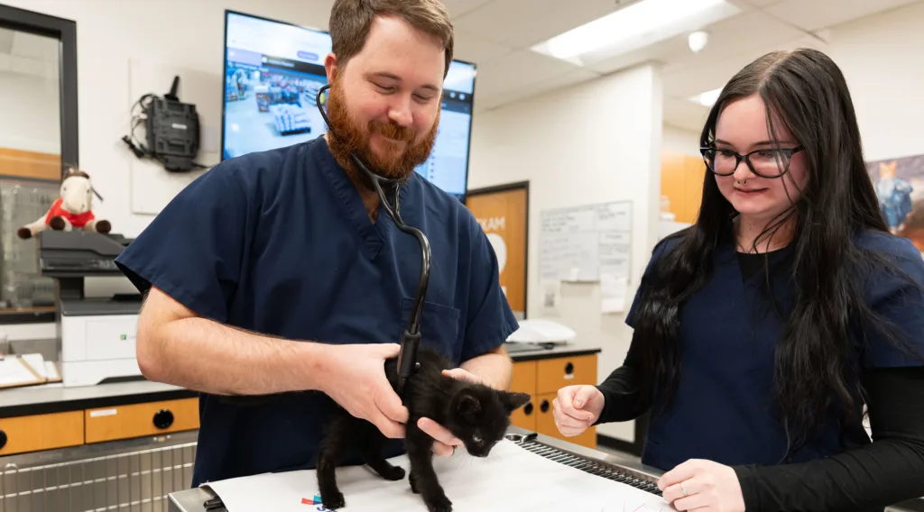 Vet and vet tech with black kitten