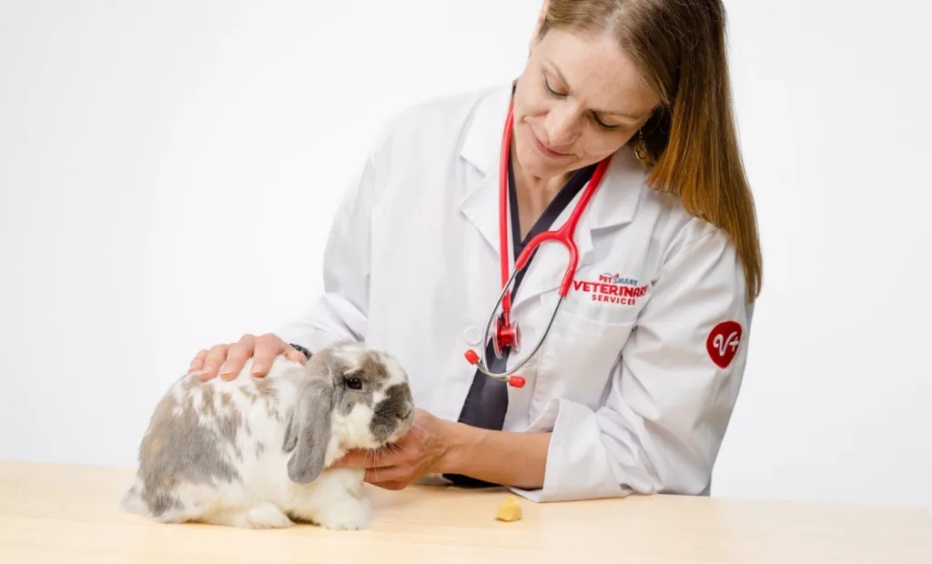 Dr. Mittner with patient Popcorn