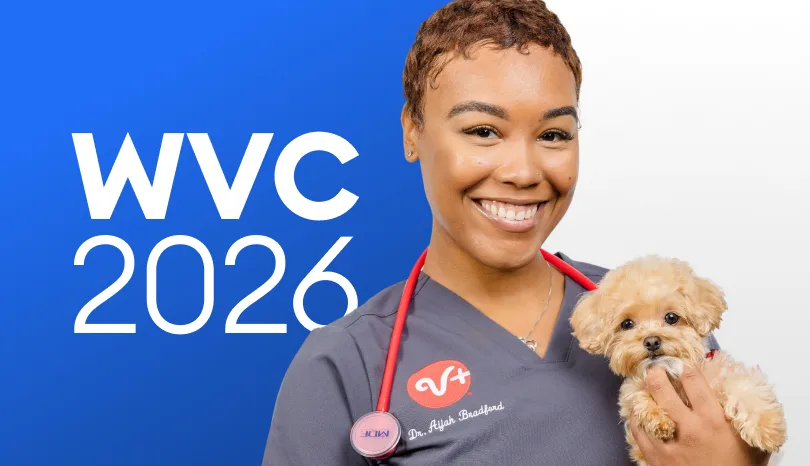 Vet holding small dog