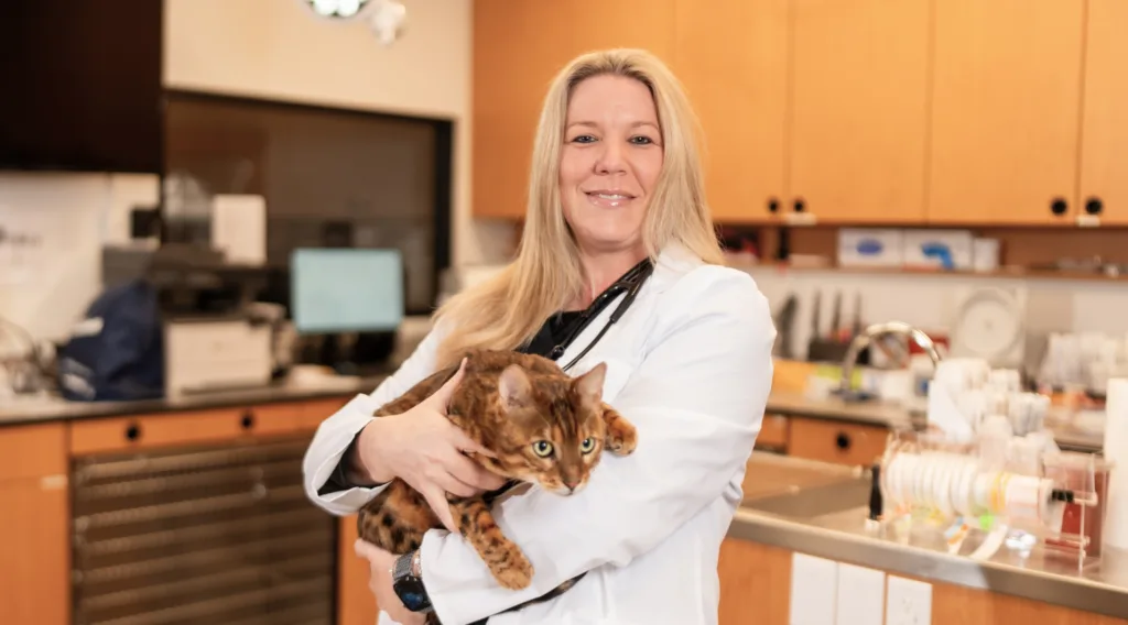 Vet holding cat in office