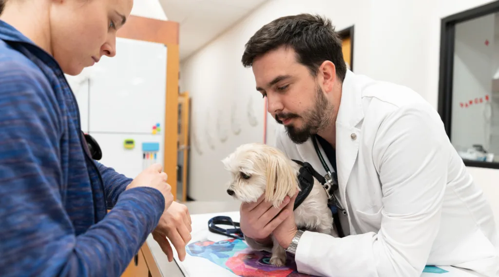 Vet with customer and small white dog