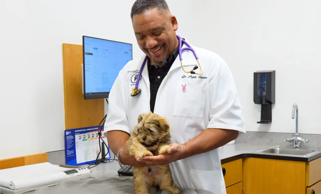 Dr. Stanton enjoying a moment with patient Ginger