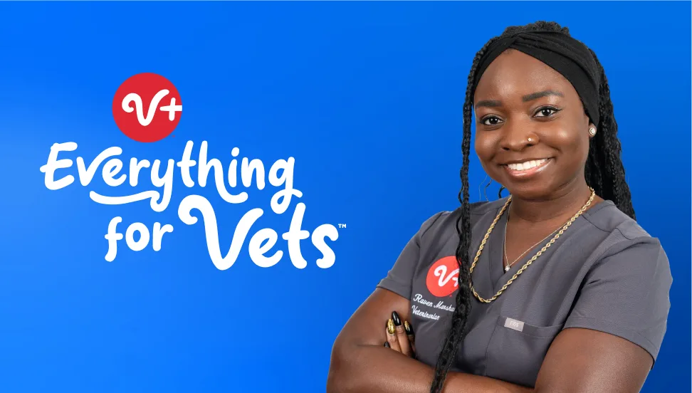 Everything for Vets