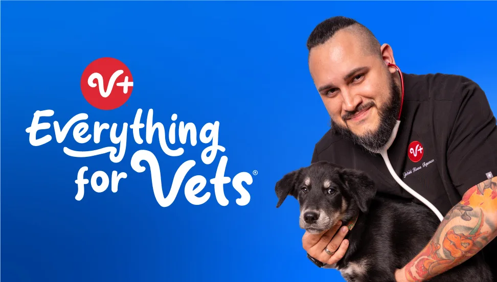 Everything for Vets